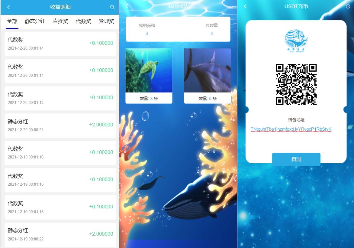 USDT理财系统/USDT投资源码/虚拟币静态收益/区块链源码