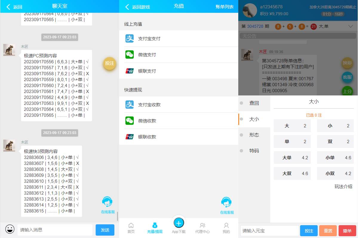 java旗舰28系统/cp游戏/28竞猜游戏/自动机器人 - 图2