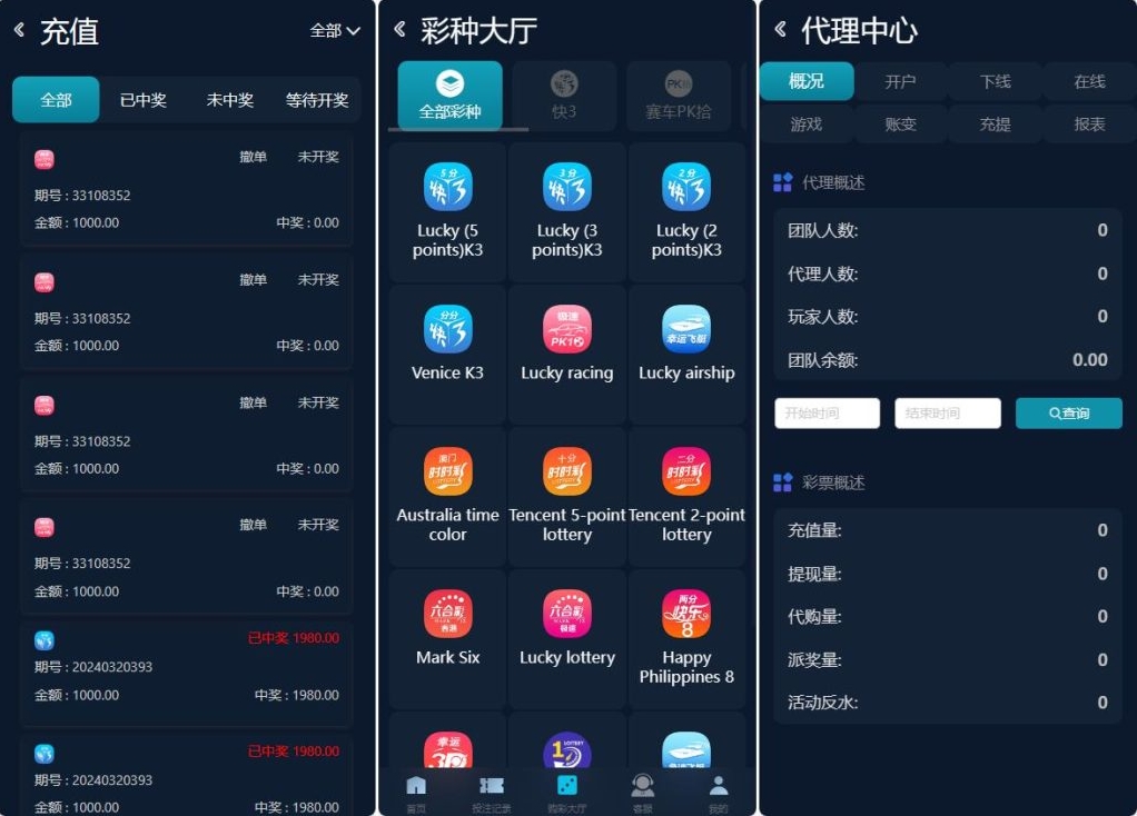 4国语言大富聚星二开版/多语言ssc源码/含系统彩源码下载 - 图2