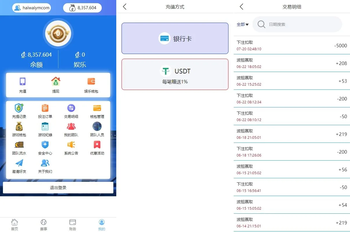 【海外多语言反波胆源码】多语言反波胆系统/海外反波娱乐/自动采集自动开奖 - 图4