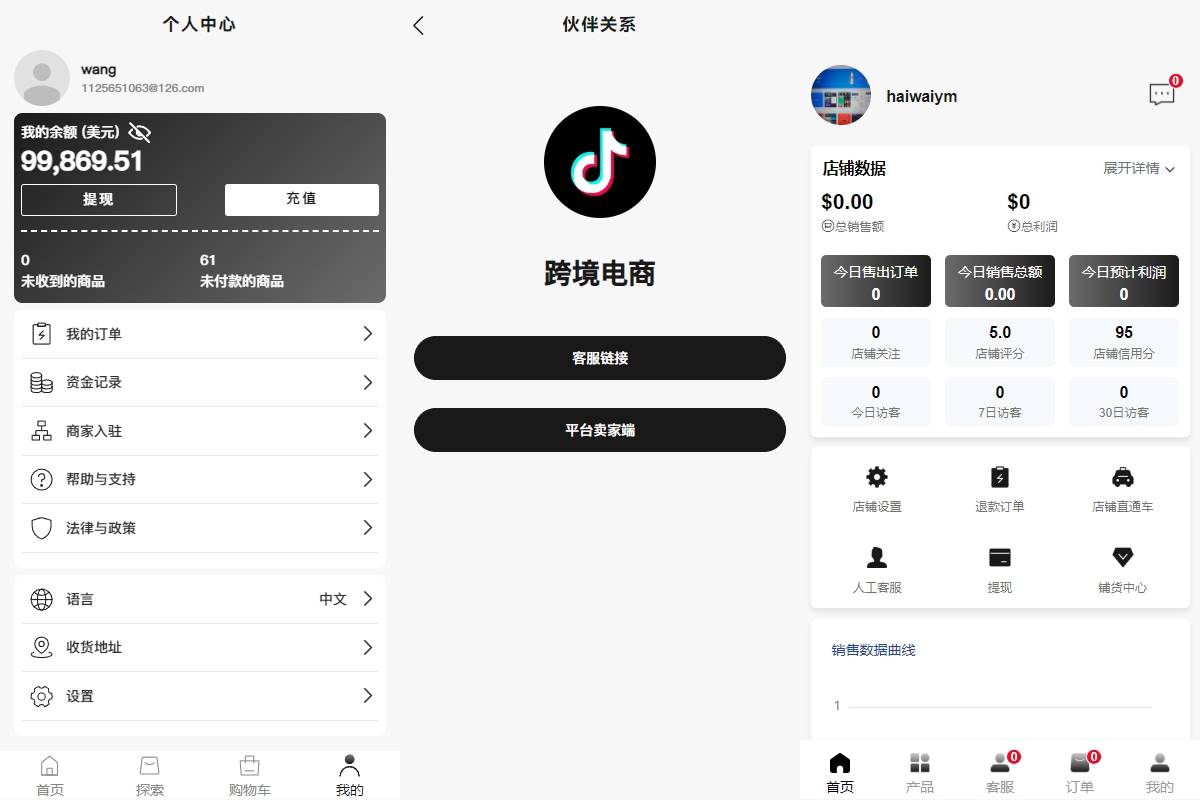 新版Tiktok跨境商城系统源码/多语言tiktok商城/内置客服/内嵌tiktok - 图3
