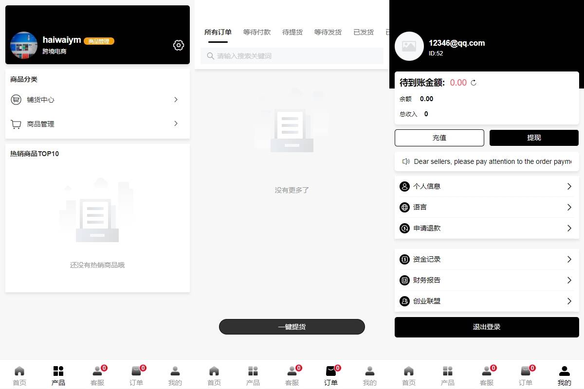 新版Tiktok跨境商城系统源码/多语言tiktok商城/内置客服/内嵌tiktok - 图4
